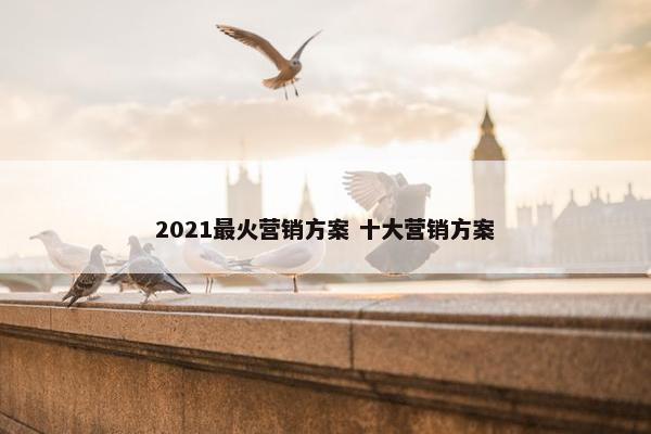 2021最火营销方案 十大营销方案