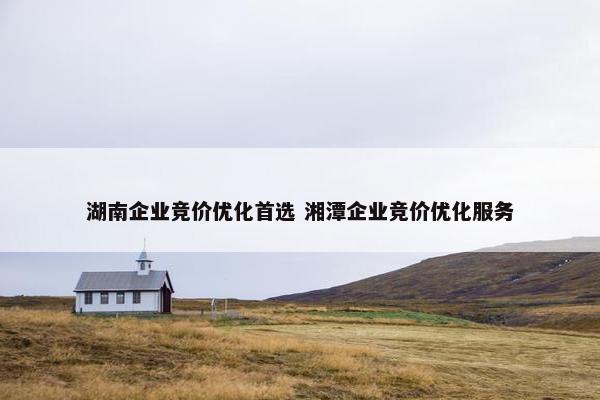 湖南企业竞价优化首选 湘潭企业竞价优化服务