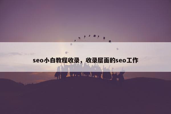 seo小白教程收录，收录层面的seo工作