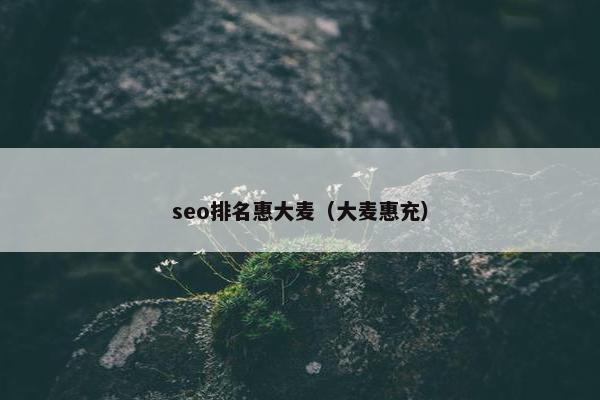 seo排名惠大麦（大麦惠充）