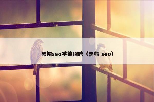 黑帽seo学徒招聘（黑帽 seo）