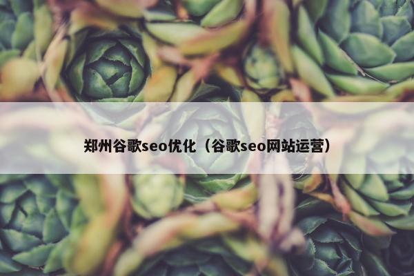 郑州谷歌seo优化（谷歌seo网站运营）