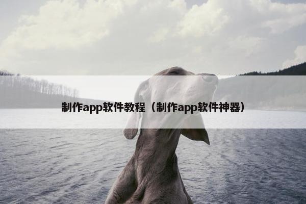 制作app软件教程（制作app软件神器）