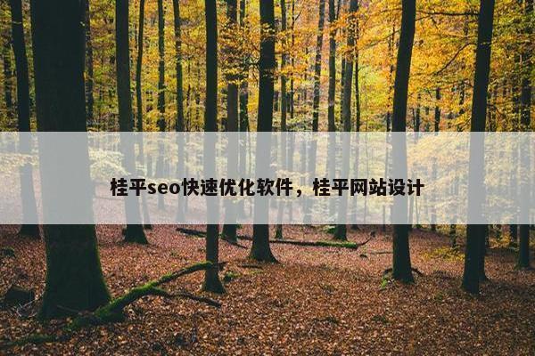 桂平seo快速优化软件，桂平网站设计