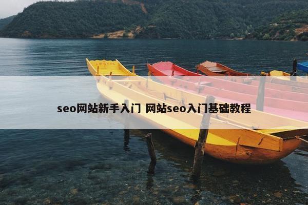 seo网站新手入门 网站seo入门基础教程