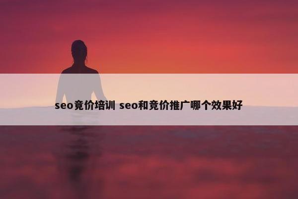 seo竟价培训 seo和竞价推广哪个效果好