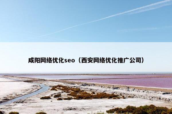 咸阳网络优化seo（西安网络优化推广公司）