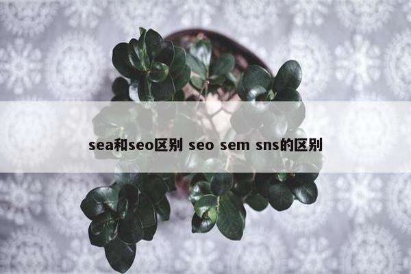 sea和seo区别 seo sem sns的区别