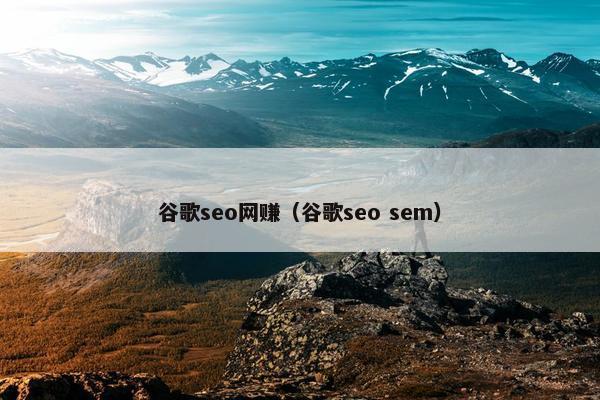 谷歌seo网赚（谷歌seo sem）