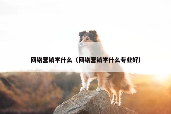 网络营销学什么（网络营销学什么专业好）