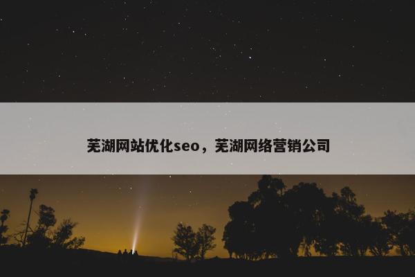 芜湖网站优化seo，芜湖网络营销公司