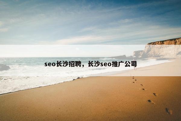 seo长沙招聘，长沙seo推广公司