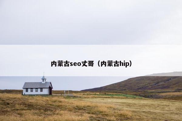 内蒙古seo丈哥（内蒙古hip）