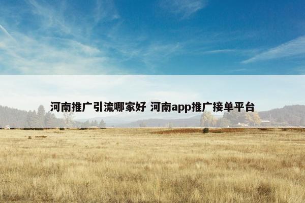 河南推广引流哪家好 河南app推广接单平台