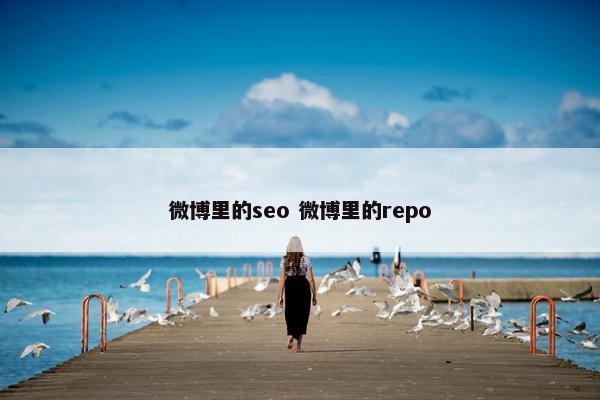 微博里的seo 微博里的repo