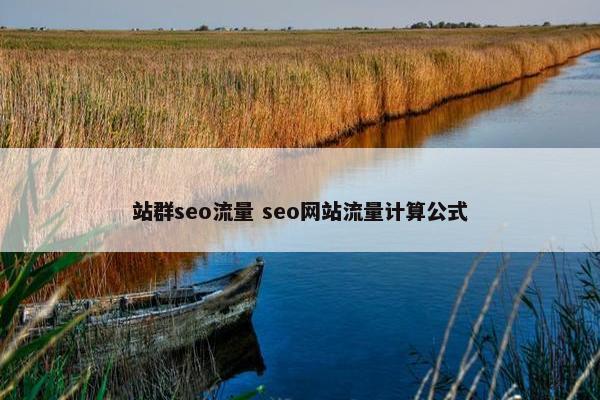 站群seo流量 seo网站流量计算公式