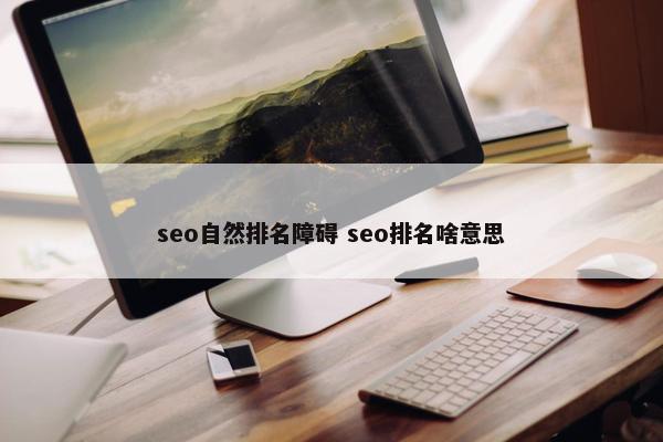 seo自然排名障碍 seo排名啥意思