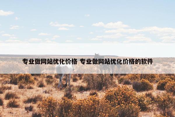 专业做网站优化价格 专业做网站优化价格的软件