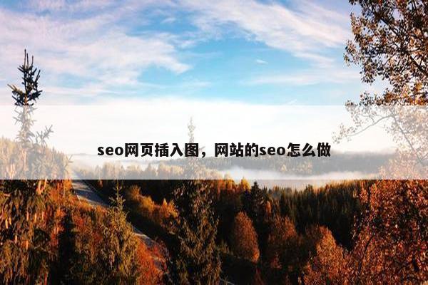 seo网页插入图，网站的seo怎么做