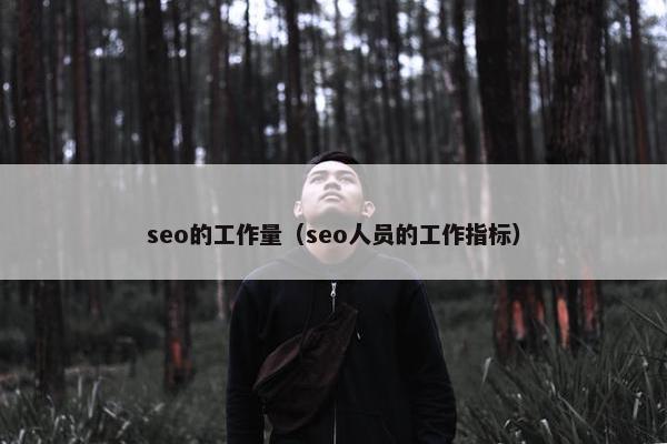 seo的工作量（seo人员的工作指标）