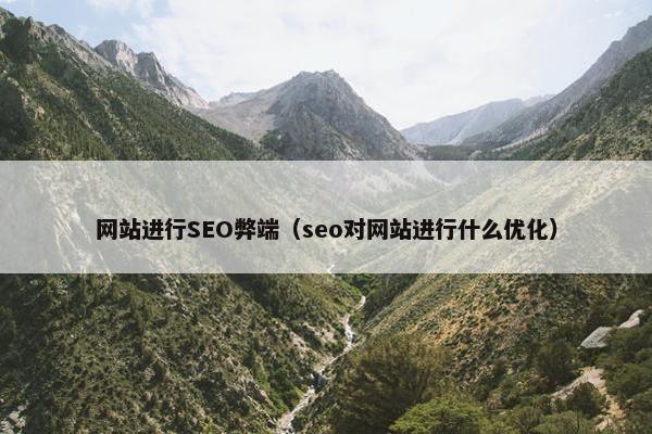 网站进行SEO弊端（seo对网站进行什么优化）