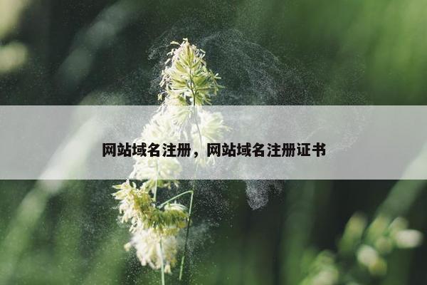 网站域名注册，网站域名注册证书