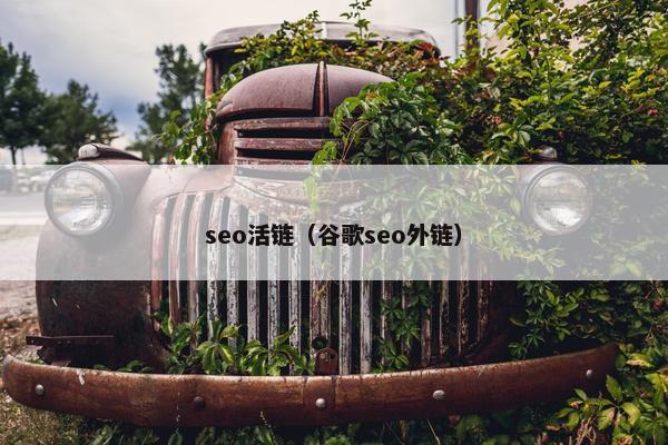 seo活链（谷歌seo外链）