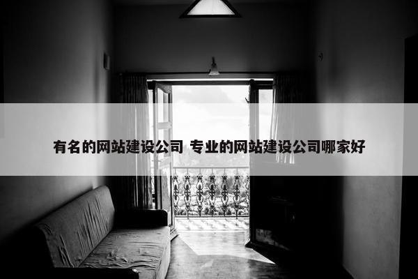 有名的网站建设公司 专业的网站建设公司哪家好