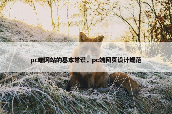 pc端网站的基本常识，pc端网页设计规范