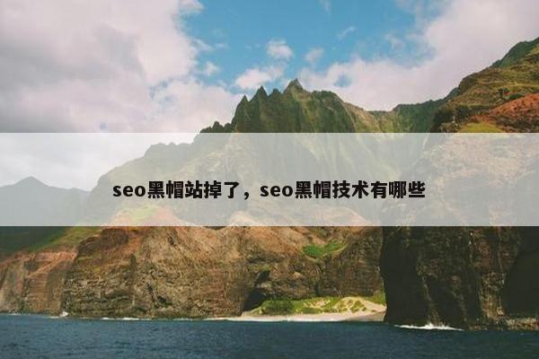 seo黑帽站掉了，seo黑帽技术有哪些