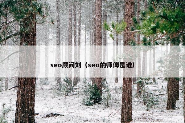 seo顾问刘（seo的师傅是谁）