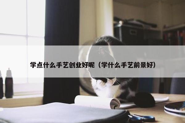 学点什么手艺创业好呢（学什么手艺前景好）