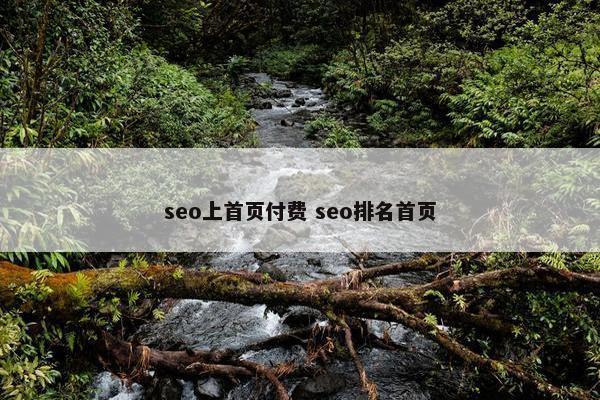 seo上首页付费 seo排名首页