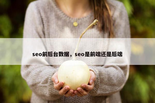 seo前后台数据，seo是前端还是后端