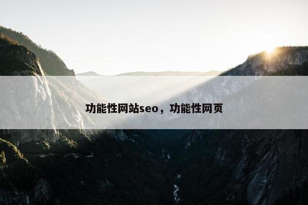 功能性网站seo，功能性网页