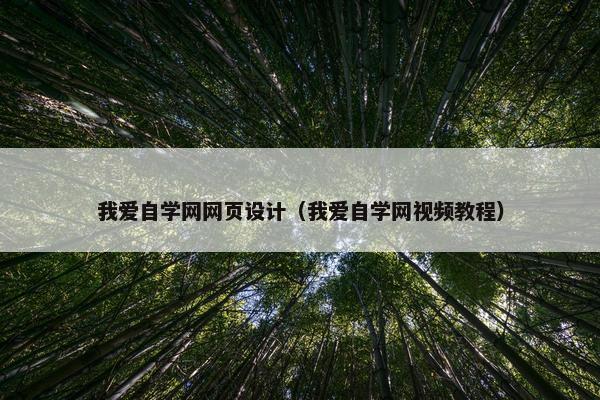 我爱自学网网页设计（我爱自学网视屏教程）