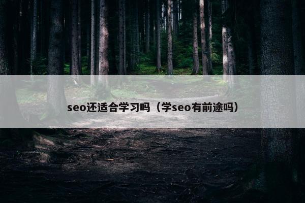 seo还适合学习吗（学seo有前途吗）