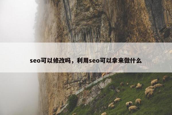 seo可以修改吗，利用seo可以拿来做什么