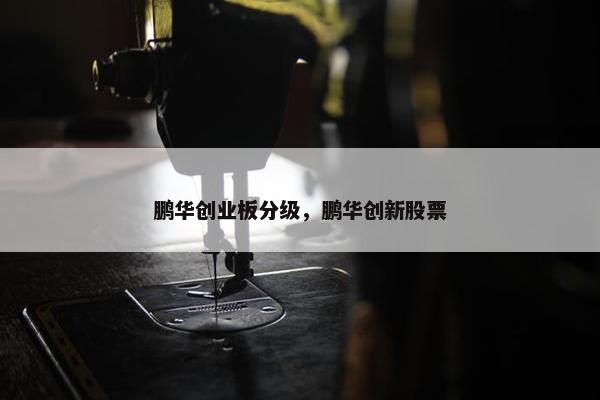 鹏华创业板分级，鹏华创新股票