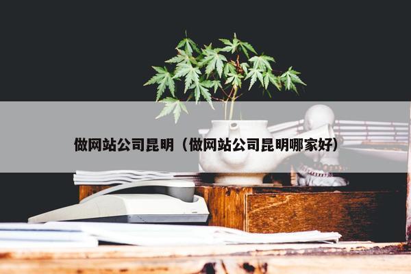 做网站公司昆明（做网站公司昆明哪家好）