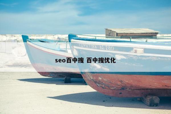 seo百中搜 百中搜优化