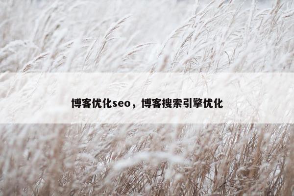 博客优化seo，博客搜索引擎优化