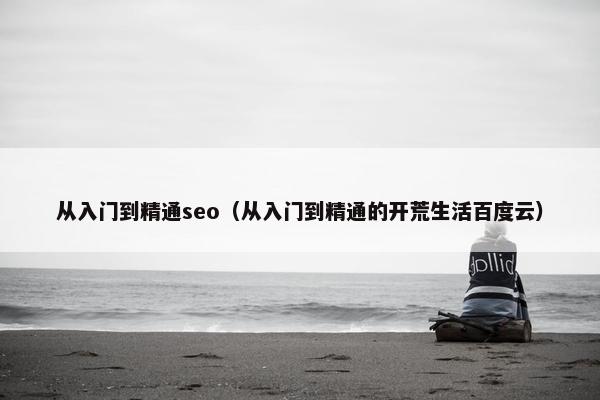 从入门到精通seo（从入门到精通的开荒生活百度云）