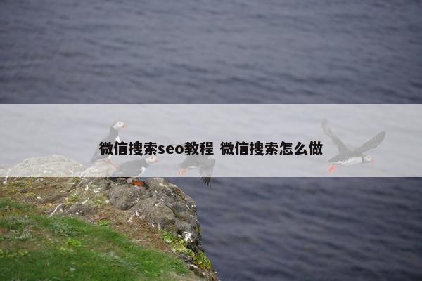 微信搜索seo教程 微信搜索怎么做