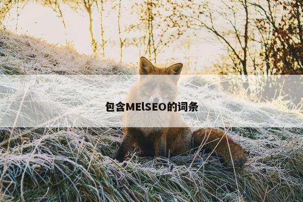 包含MElSEO的词条