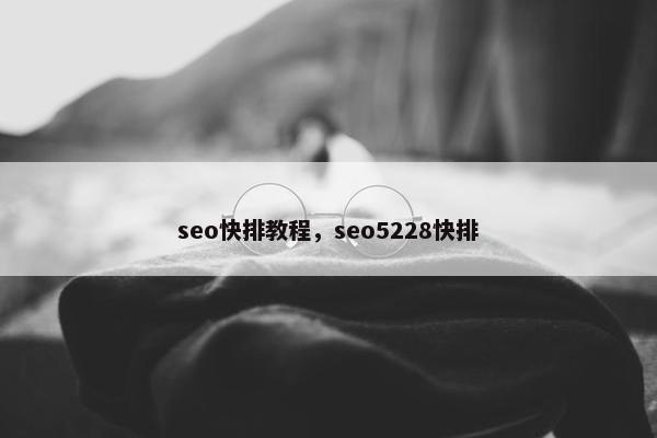 seo快排教程，seo5228快排