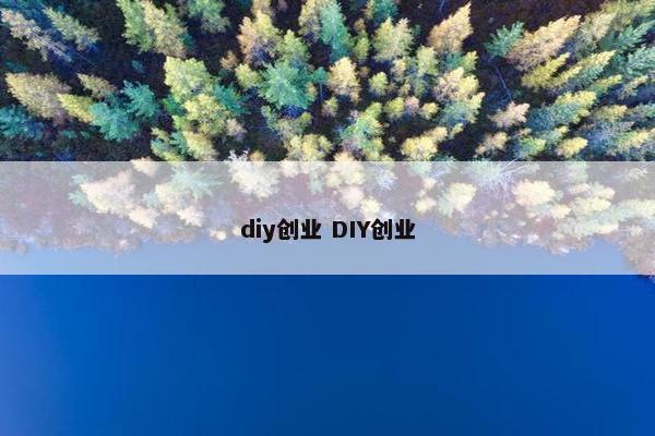 diy创业 DIY创业