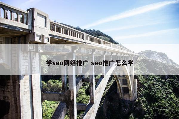 学seo网络推广 seo推广怎么学