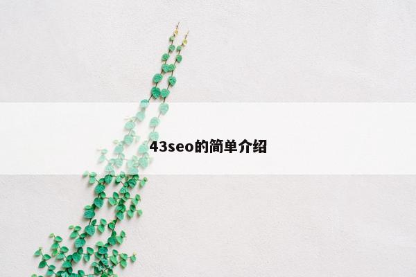 43seo的简单介绍