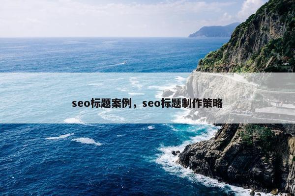 seo标题案例，seo标题制作策略